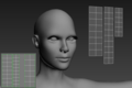 Thumbnail for version as of 10:11, 10 April 2020