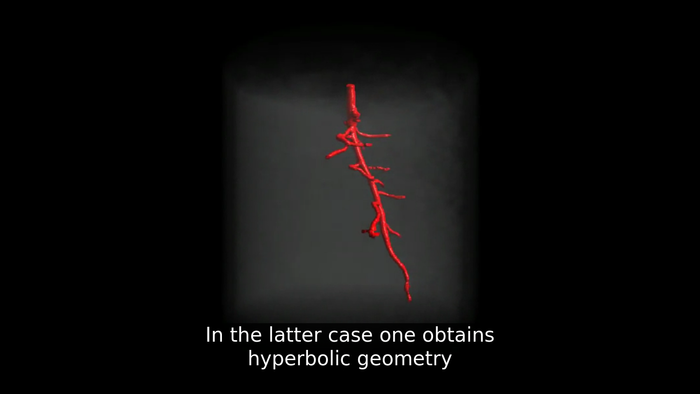 Item 005: Hyperbolic Spaces + Item 082: Ultrasonic Dreams Non-euclidean geometry is what happens when any of the 5 axioms do not apply. It arises when either the metric requirement is relaxed, or the parallel postulate is replaced with an alternative one. In the latter case one obtains hyperbolic geometry and elliptic geometry, the traditional non-Euclidean geometries. When the metric requirement is relaxed, then there are affine planes associated with the planar algebras which give rise to kinematic geometries that have also been called non-Euclidean geometry.[1]